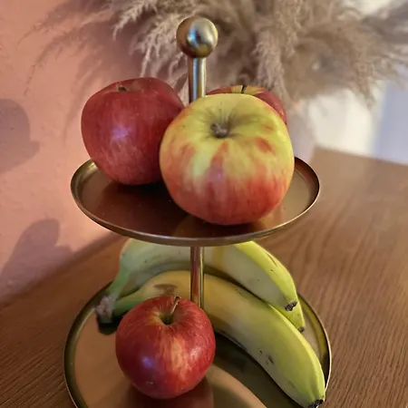 Appartement Charmante Im Zentrum Leipzig